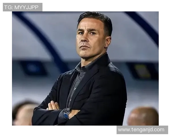 欧洲杯足球世界球星卡评测分析全解析最佳球员卡使用技巧与战术搭配